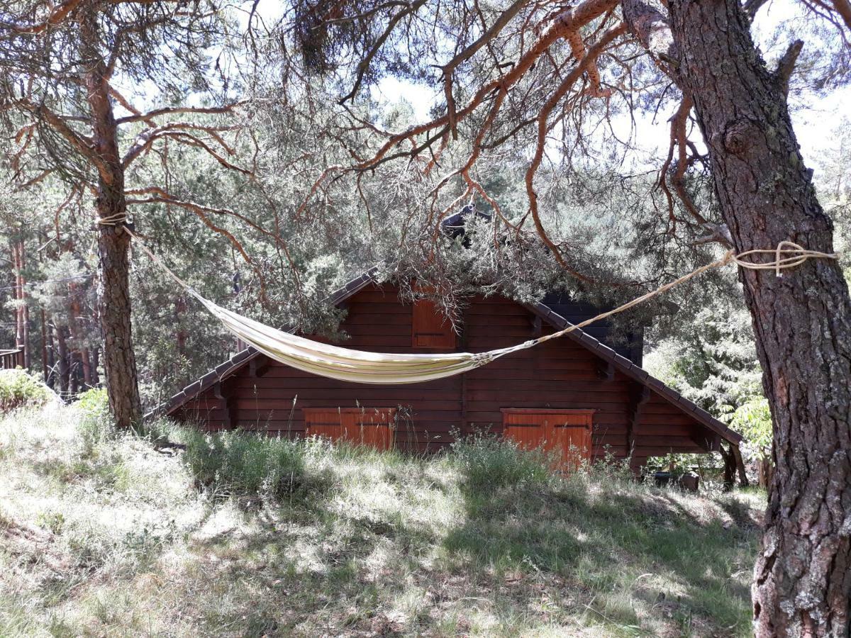 Canon Del Rio Lobos-La Cabana De Ton San Leonardo de Yagüe Екстериор снимка